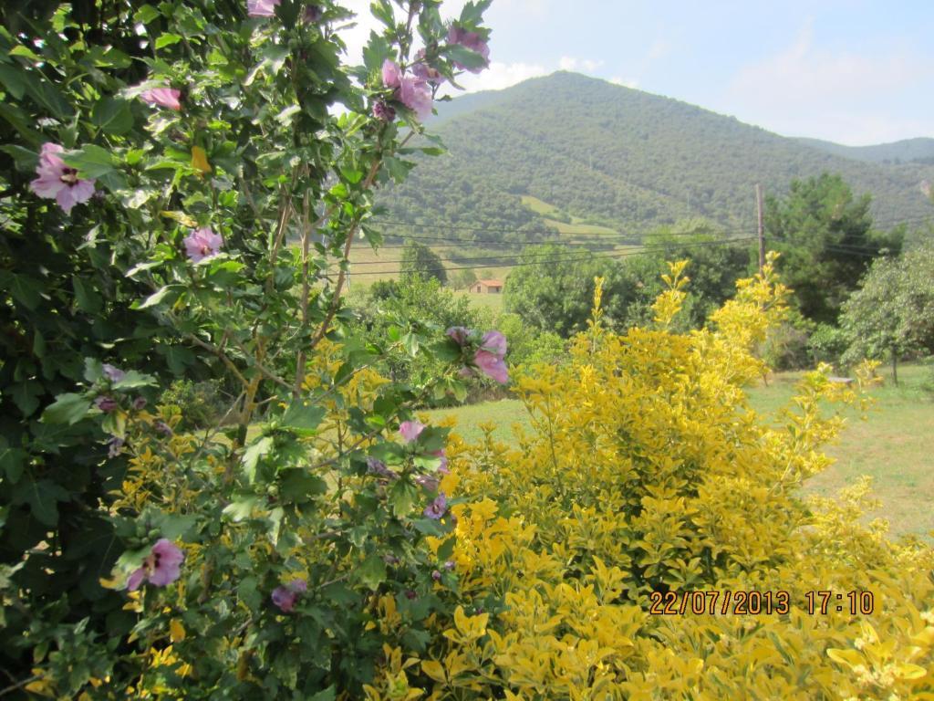 Hostal Toscana Ojedo Exterior photo